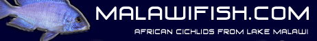 Banner_Malawi_m_bl