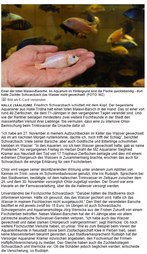 Fischsterben