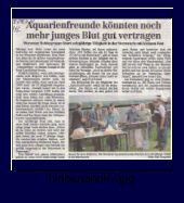 Aquarienfreunde knnten noch mehr junges Blut gut vertragen