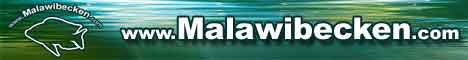 Malawibecken-Banner