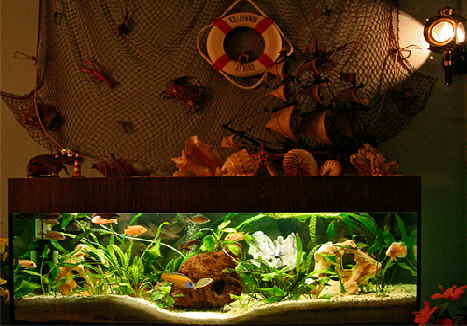 Wohnzimmer Becken Wohnzimmer Becken