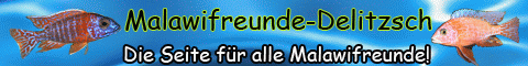 Banner 1 nicht Animiert