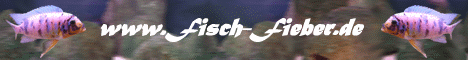 http://www.fisch-fieber.de