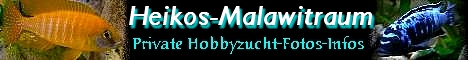 heikosbanner1
