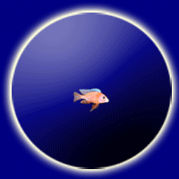 Fisch Animation